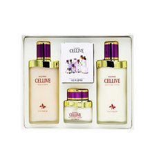 쵸이스셀테라피