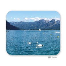 [마우스패드] 알프스 백조