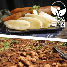 <컴팜>야콘 2kg 5kg 10kg, 상(생식 즙용), 1개