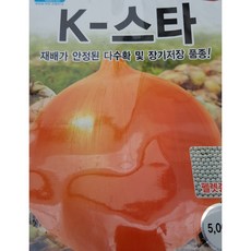 양파모종 TOP01