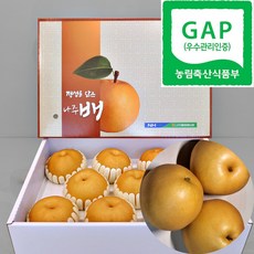 [산지직송] 23년도 수확 GAP인증 나주배 햇배 가정용 정품 선물용 배 선물세트 5kg 7.5kg 15kg, 1박스, 7.5kg (특품 7~10과)