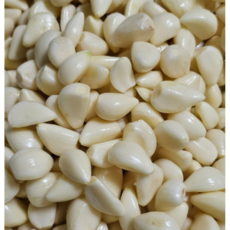 국내산 육쪽 통마늘 햇마늘 깐마늘 의성마늘, 1개, 1kg(중간사이즈)