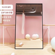 대형 거울 벽걸이 이동식 아치형 전신 스탠드 강화유리 와이드 타원형 비정형, R. 100x180, 1개