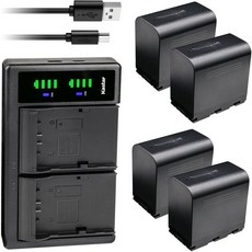 JVC GY-HMQ10 GY-HMQ10E GY-HM200 GY-HM200U GY-HM200HW GY-HM200SP GY-HM200SP 스포츠 GY-HM250 GY-HM, 1 Charger + 4 Batteries