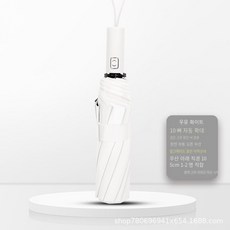 카본우산