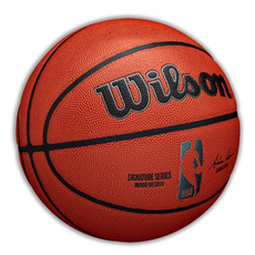 코스트코윌슨농구공