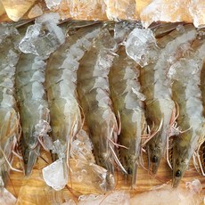 대천해 생물 왕새우 500g(18~23미),