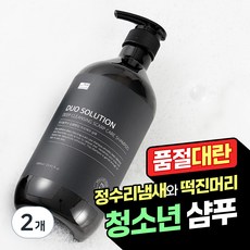 듀오솔루션 청소년 사춘기 샴푸 뾰루지 두피 여드름 샴푸 지성 정수리 머리 냄새 가려움, 1000ml, 2개