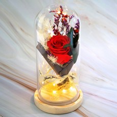 잇츠마이플라워 프리저브드 장미 꽃 유리돔 무선 LED 무드등 259387, 레드