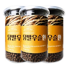 볶은가시오가피