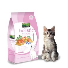 뉴웨이브 고양이 홀리스틱 연어 2.4kg/고양이사료, 2.4kg, 1개
