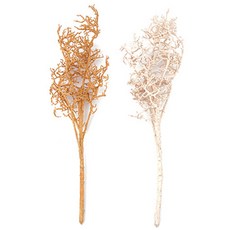 산호가지