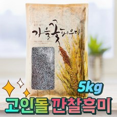 고인돌 국내산 검정쌀 흑미쌀 깐찰흑미 5kg, 1개