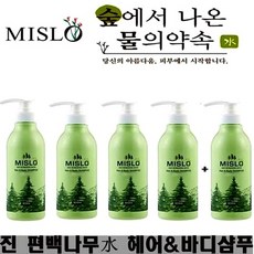 바디샴푸올인원추천