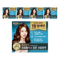 리엔 흑모비책 프로폴리스 담은 크림 염색제 새치용 12회분, 01 자연 갈색, 5개