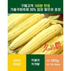 흑찰옥수수