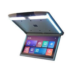 카니발모니터설치