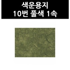 (9801220) 색운용지 10번 풀색 1속