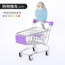 공벌레키우기세트