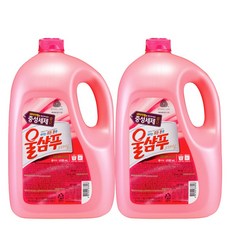 울샴푸 오리지널 대용량 4160ml, 2개