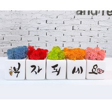 5419b6cdd6c6d7582403cf5b65aed3e7320165db61abaf085063615decf1.jpg