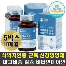 머리뼈