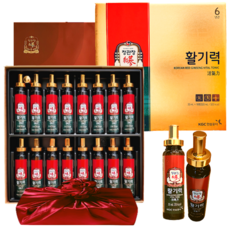 정관장 6년근 홍삼정 활기력 32세트(홍삼농축액 비타민 함량) 640ml+쇼핑백 골프 여행 추석 설 명절 선물세트(보자기포함), 640ml, 1세트