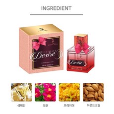 도랄콜렉션