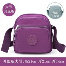 디올미니크로스백