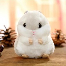 어뮤즈인형