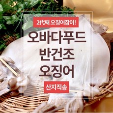 [오바다푸드팩토리]반건조오징어/산지직송/2대째운영 소소/소/대/특/왕특/왕왕특 10미, 대 1100g(10미)