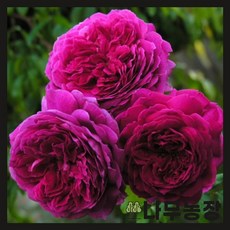 4d4c8fb9cb6a98ad912f952189018be957face3d4a700e78c11f889c98d2.jpg