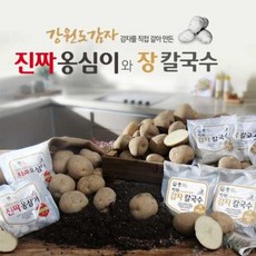기타 (방송) 감자옹심이 장칼국수 세트_(9/9), 3개
