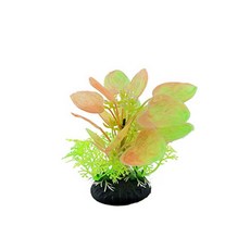 수족관수초 수중식물 수초 바닥재 전경 수족관 수생, T402