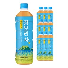 청보리차12 TOP01