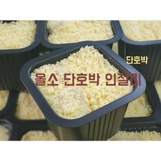 수박설기원데이