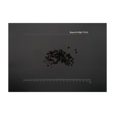건조/말린 엘더베리/유럽딱총나무 열매(Elderberrie/Sambucus nigra) 100g, 1개