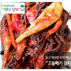 해남 농협 고들빼기 김치 2kg 꼬들빼기 전라도 별미, 1개
