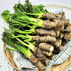 국내산 참두릅, 1개, 750g