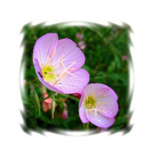 a56fd902d0664355d85122d3c8f47217d1486f071ef90e8faef7578aa313.png