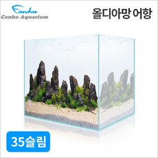 a9dbec394f6fc0626b7d11a9d0a54fc3dd70a7fbc952aadd87efa88a80d0.jpeg