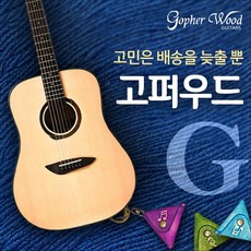 고퍼우드g100