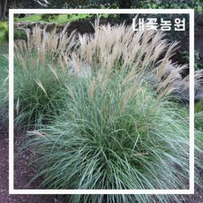 d8947b98da84cb9186a1537ab1c94e0e8efeba645d92bd22326c2ff78ce1.jpg