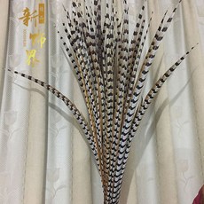 인디언 원주민 여성 할로윈 구슬 추장 남성과 족장 사냥꾼 머리
