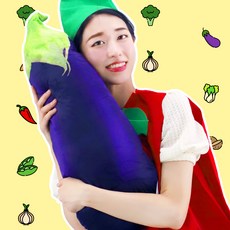 바퀴벌레쿠션