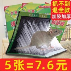 해충퇴치기 쥐덫 뉴트리아 두더지 마우스 트랩 포획기 5장의 강력점마쥐판 생쥐포획기 쥐박멸성포착 생쥐약
