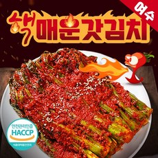 여수 핵 매운 갓김치 돌산 불갓김치 맛있게 매운 실비김치 당일생산 김치맛집 식객 허영만, 갓김치 3kg, 1개