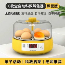 조류 자동 부화기 메추리 유정란 달걀 온도조절기 사육장 앵무새, 1개, 4. 전자동 6개 +계몽형