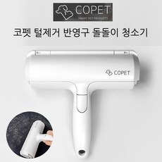 안텔로프