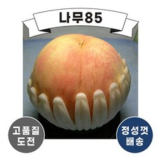 (나무85) 복숭아나무 경봉 R3, 1개